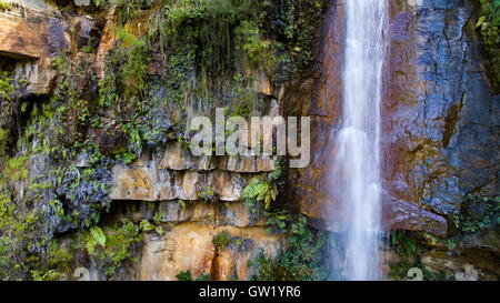 Kellys Wasserfall in der Nähe von Helensburgh in der nördlichen Illawarra Region New South Wales, Australien. Stockfoto