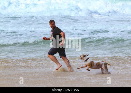 Ein Mann in den Dreißigern verläuft entlang des Strandes mit seinem Staffordshire Bull Terrier Hund. Stockfoto
