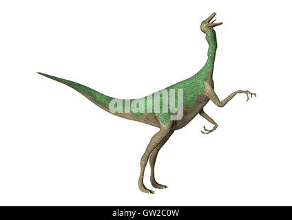 3D-Rendering eines Dinosauriers Gallimimus isoliert auf weißem Hintergrund Stockfoto