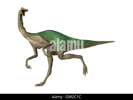 3D-Rendering eines Dinosauriers Gallimimus isoliert auf weißem Hintergrund Stockfoto