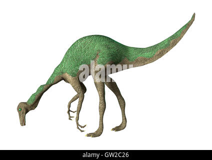 3D-Rendering eines Dinosauriers Gallimimus isoliert auf weißem Hintergrund Stockfoto