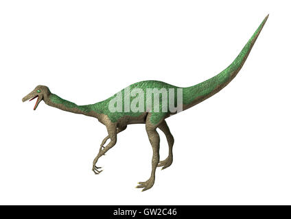 3D-Rendering eines Dinosauriers Gallimimus isoliert auf weißem Hintergrund Stockfoto