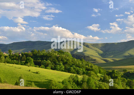Landschaft von Zlatibor Berg. Grüne Wiesen und Hügel unter blauem Himmel mit Wolken im Frühling Stockfoto