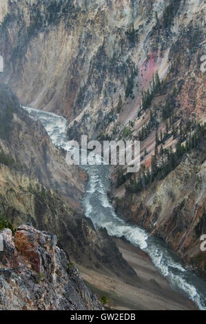 Der Yellowstone River fließt durch den Grand Canyon des Yellowstone. Yellowstone-Nationalpark, Wyoming. Stockfoto
