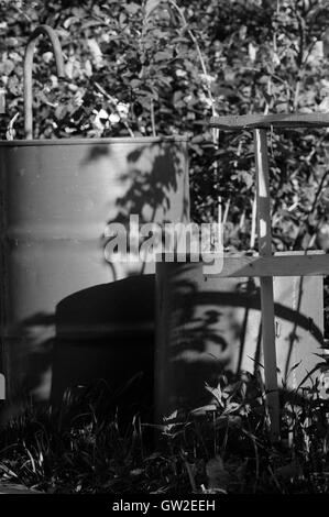 Fässer von Wasser und Schatten aus dem Gebüsch von Himbeeren Stockfoto
