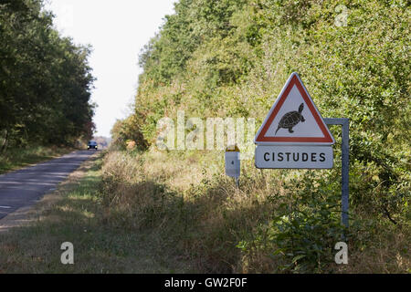 Verkehrszeichen, die Warnung, dass vielleicht beim Überqueren der Straße Cistudes. Stockfoto