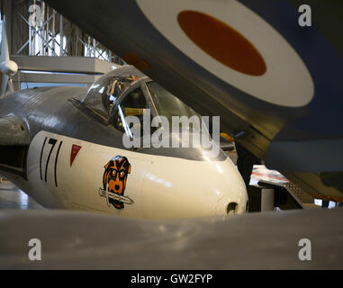 Royal Navy Hawker Seahawk '171' 804 Naval Air Squadron im Military Aircraft Hanger im National Museum of Flight in Schottland bei East Fortune. Stockfoto