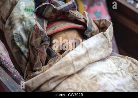 Die Leiche tot von den Hinterbliebenen zu erziehen, reinigen Sie ihre Leichen in Ma'nenen Ritualen im Norden Toraja, Indonesien. Stockfoto