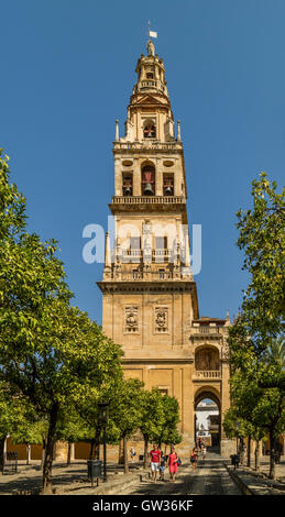Cordoba, Provinz Córdoba, Andalusien, Südspanien.  Torre del Alminar der Moschee innerhalb der Orange-Platz aus gesehen Stockfoto