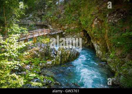 Bled-Schlucht, Blejski Vintgar, Slowenien Stockfoto