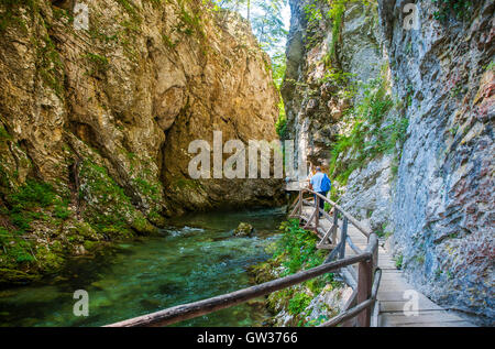 Bled-Schlucht, Blejski Vintgar, Slowenien Stockfoto