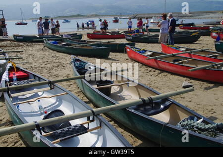 Start von Barmouth Psddle Fest, Wales Stockfoto