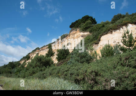 Canford Cliffs, Branksome Chine, mit Blick auf Bucht Poole, Dorset, Großbritannien Stockfoto