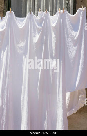 Blätter hängen Linie Palermo, Italien Stockfoto
