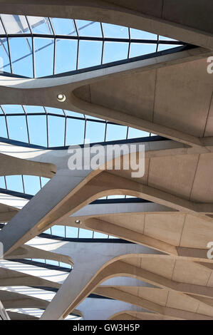 Dach-Detail des Gare de Lyon Saint-Exupéry Frankreich entworfen von Santiago Calatrava 1994 Stockfoto