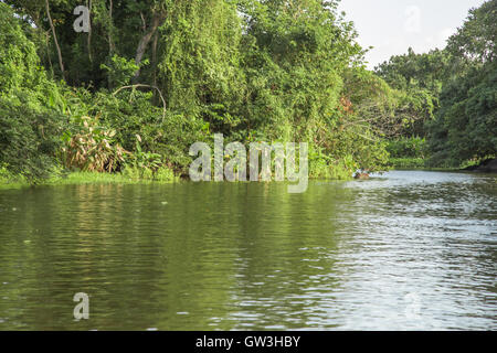 Isletas de Granada Blick, natürliche Tourist Hotel aus Nicaragua zu besuchen Stockfoto