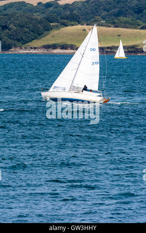 Boote aus Falmouth in Cornwall in 2016 Regatta Segeln. Stockfoto