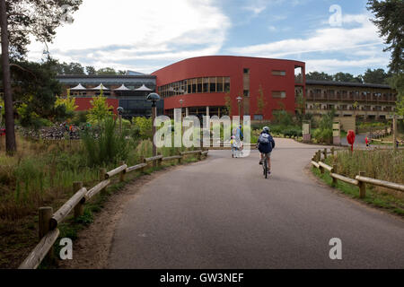 Center Parcs in Woburn, UK Stockfoto