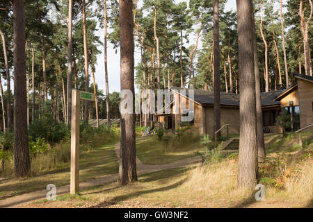 Center Parcs in Woburn, UK Stockfoto