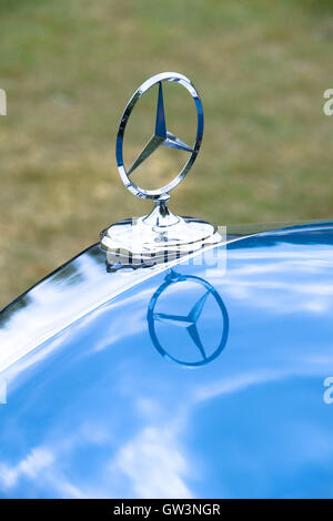 Mercedes Auto-Logo mit Reflektion auf Motorhaube Stockfoto