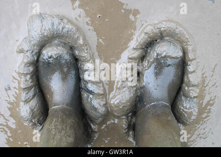 Stiefel im Schlamm stecken Stockfoto