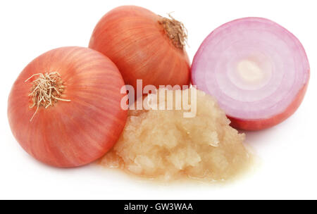 Pürierte Zwiebel mit ganzen diejenigen auf weißem Hintergrund Stockfoto