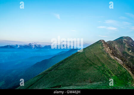 Golica Stockfoto