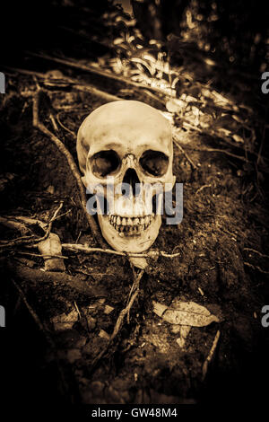 Menschlicher Schädel auf Ruinen, grauen Hintergrund für Halloween und Film Posterprojekt Concept Stockfoto