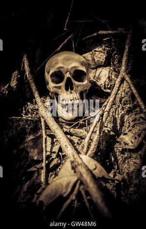 Menschlicher Schädel auf Ruinen, grauen Hintergrund für Halloween und Film Posterprojekt Concept Stockfoto