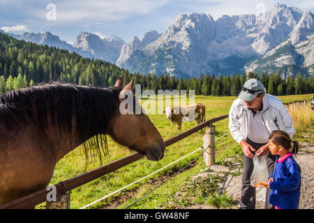 Landschaft ein paar hundert Meter von Misurina See, in der Nähe der Stadt Auronzo tun Cadore, Provinz Belluno, Region Venetien, Italien. Stockfoto