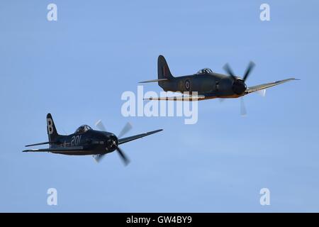 Eine Grumman F8F Bearcat (links) und Hawker Fury FB 11 (rechts) während der Duxford Air Show 2016 an das Imperial War Museum in Duxford, Cambridgeshire. Stockfoto