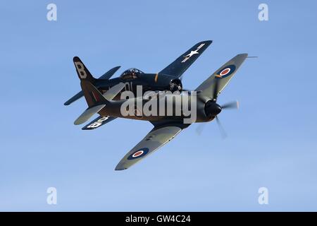 Eine Grumman F8F Bearcat (links) und Hawker Fury FB 11 (rechts) während der Duxford Air Show 2016 an das Imperial War Museum in Duxford, Cambridgeshire. Stockfoto