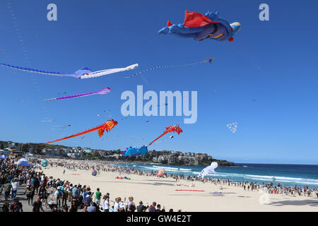 Sydney, Australien. 11. September 2016. Australiens größte Drachenfliegen Festival tagte in Sydneys berühmten Bondi Beach. Bildnachweis: Richard Milnes/Alamy Live-Nachrichten Stockfoto