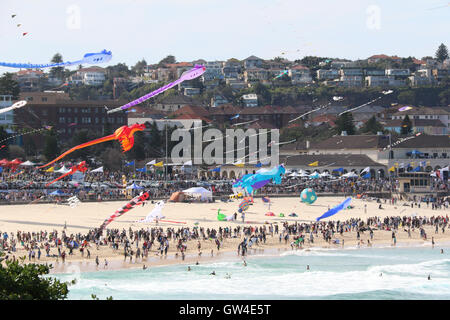 Sydney, Australien. 11. September 2016. Australiens größte Drachenfliegen Festival tagte in Sydneys berühmten Bondi Beach. Bildnachweis: Richard Milnes/Alamy Live-Nachrichten Stockfoto