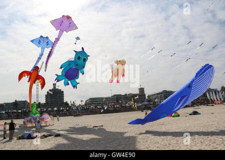 Sydney, Australien. 11. September 2016. Australiens größte Drachenfliegen Festival tagte in Sydneys berühmten Bondi Beach. Bildnachweis: Richard Milnes/Alamy Live-Nachrichten Stockfoto