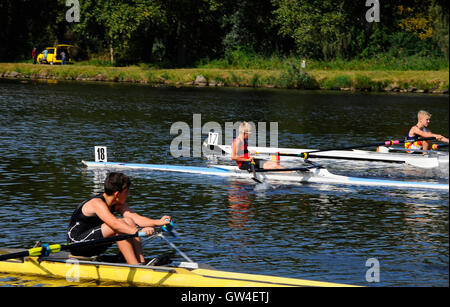 Brandys nad Labem, Tschechische Republik. 10. September 2016.  Wurden Cup im Rudern in der KV-Kondor in Brandys nad Labem 10,9-11.6.2016 Credit: Josef Pliva/Alamy Live-Nachrichten Stockfoto