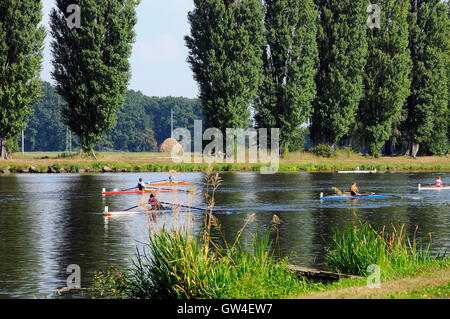 Brandys nad Labem, Tschechische Republik. 10. September 2016.  Wurden Cup im Rudern in der KV-Kondor in Brandys nad Labem 10,9-11.6.2016 Credit: Josef Pliva/Alamy Live-Nachrichten Stockfoto