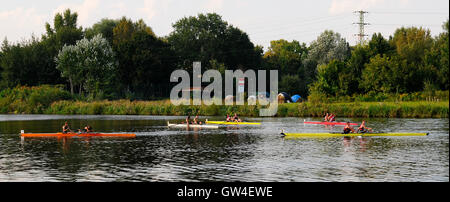 Brandys nad Labem, Tschechische Republik. 10. September 2016.  Wurden Cup im Rudern in der KV-Kondor in Brandys nad Labem 10,9-11.6.2016 Credit: Josef Pliva/Alamy Live-Nachrichten Stockfoto