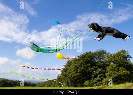 Preston, UK. 11. September 2016. Der Hoghton Tower Kite Festival findet über die berühmte Burg Türme wie riesige Drachen in die Luft gehen. Zwei & vier Linie Lenkdrachen, einschließlich einer riesigen Krake und "Tom & Jerry" flog anmutig in der Sonne, wie die Kinder staunend zusahen. Dieses Ereignis zog hunderte von Besuchern, die mit einem schönen warmen, sonnigen Tag zum Picknick auf dem Gelände gesegnet wurden und beobachten Sie die riesigen Hüpfburgen. Bildnachweis: Cernan Elias/Alamy Live-Nachrichten Stockfoto