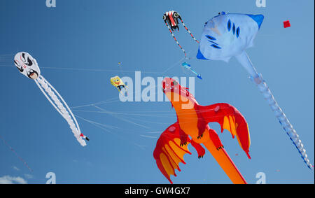 Sydney, Australien. 11. September 2016. Foto aufgenommen am 11. September 2016 zeigt Drachen fliegen über Bondi Beach in Sydney, Australien. Australiens größte Drachenfliegen Festival, Festival der Winde, startete am Bondi Beach in Sydney am Sonntag. Das Festival lockte viele lokale und internationale Drachenflieger zu zeigen ihre handgefertigten Kreationen und kite Flugkünste. Bildnachweis: Xinhua/Alamy Live-Nachrichten Stockfoto