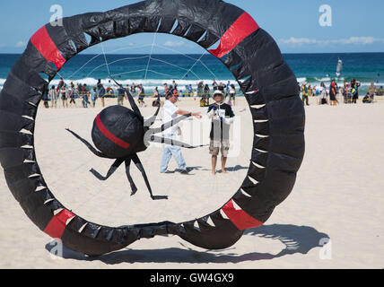 Sydney, Australien. 11. September 2016. Ein Teilnehmer bereitet sich auf einen Spinne-förmigen Drachen am Bondi Beach in Sydney, Australien, 11. September 2016 steigen. Australiens größte Drachenfliegen Festival, Festival der Winde, startete am Bondi Beach in Sydney am Sonntag. Das Festival lockte viele lokale und internationale Drachenflieger zu zeigen ihre handgefertigten Kreationen und kite Flugkünste. Bildnachweis: Xinhua/Alamy Live-Nachrichten Stockfoto