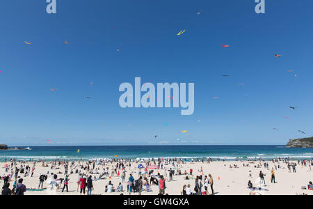 Sydney, Australien. 11. September 2016. Foto aufgenommen am 11. September 2016 zeigt Drachen fliegen über Bondi Beach in Sydney, Australien. Australiens größte Drachenfliegen Festival, Festival der Winde, startete am Bondi Beach in Sydney am Sonntag. Das Festival lockte viele lokale und internationale Drachenflieger zu zeigen ihre handgefertigten Kreationen und kite Flugkünste. Bildnachweis: Xinhua/Alamy Live-Nachrichten Stockfoto