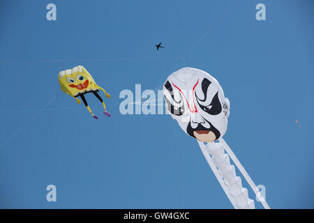 Sydney, Australien. 11. September 2016. Foto aufgenommen am 11. September 2016 zeigt Drachen fliegen über Bondi Beach in Sydney, Australien. Australiens größte Drachenfliegen Festival, Festival der Winde, startete am Bondi Beach in Sydney am Sonntag. Das Festival lockte viele lokale und internationale Drachenflieger zu zeigen ihre handgefertigten Kreationen und kite Flugkünste. Bildnachweis: Xinhua/Alamy Live-Nachrichten Stockfoto