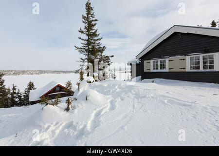 Winter in Sjusjoen in Norwegen sonnige helle Landschaft Stockfoto