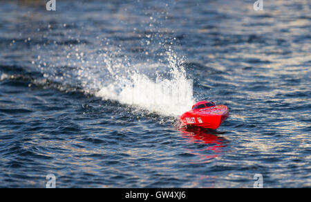 RC Modellbau Boot in voller Fahrt auf dem Wasser Stockfoto