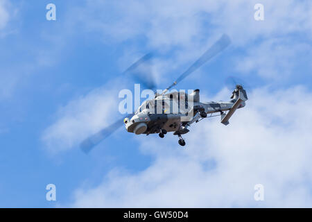 Eines der Royal Navy Black Cats auf der 2016 Southport Airshow. Stockfoto