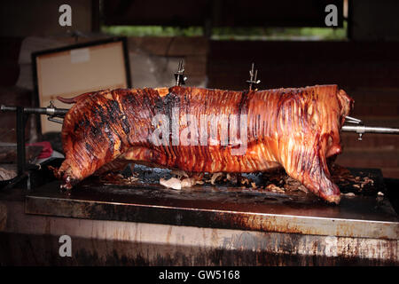 Ein Schwein braten auf einem Drehspieß fast fertig zum Carven Stockfoto