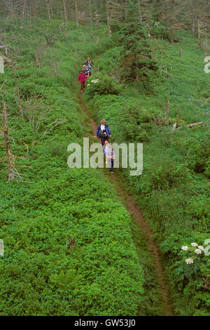 Menschen zu Fuß auf dem Weg in Bonaventure Island, Gaspesie, Quebec, Kanada Stockfoto