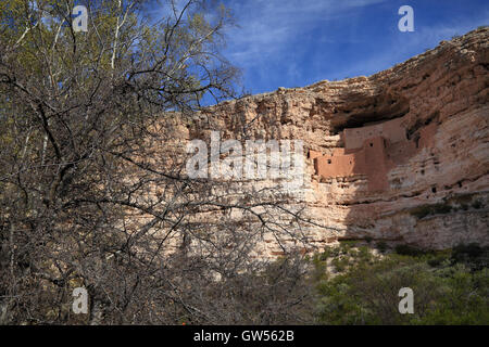 Montezuma Castle National Monument schützt in der Nähe von Camp Verde, Arizona Stockfoto