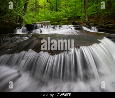 Frühling-Quellgebiet des B. Reynolds fällt im Abschnitt Glen Leigh des Rickett Glen State Park im Luzerne County, Pennsylvania Stockfoto